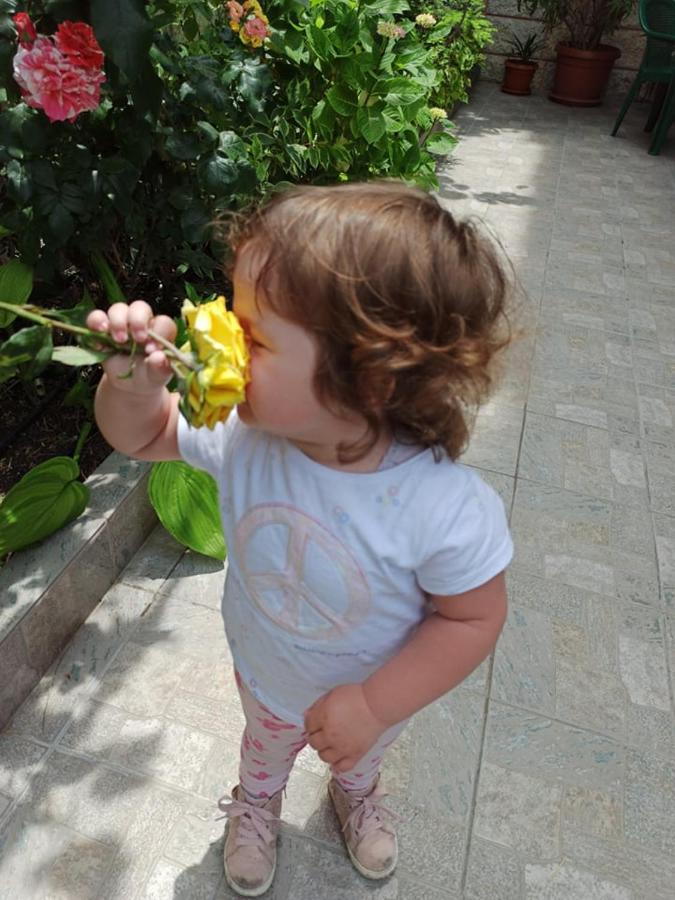 Guest House ,, Ekaterina" Nesebar Ngoại thất bức ảnh